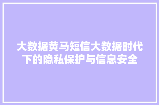 大数据黄马短信大数据时代下的隐私保护与信息安全