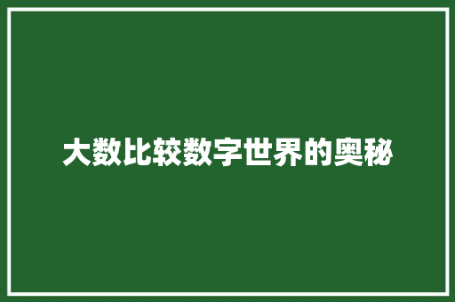 大数比较数字世界的奥秘