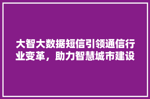 大智大数据短信引领通信行业变革，助力智慧城市建设