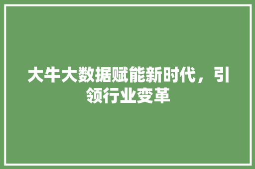 大牛大数据赋能新时代，引领行业变革