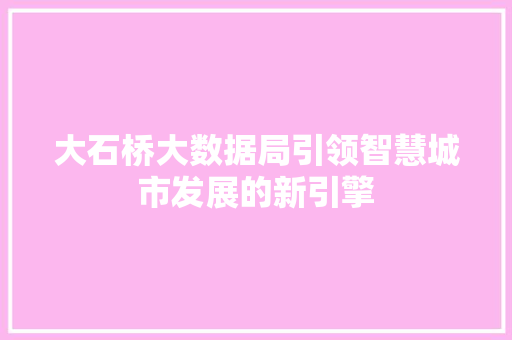大石桥大数据局引领智慧城市发展的新引擎