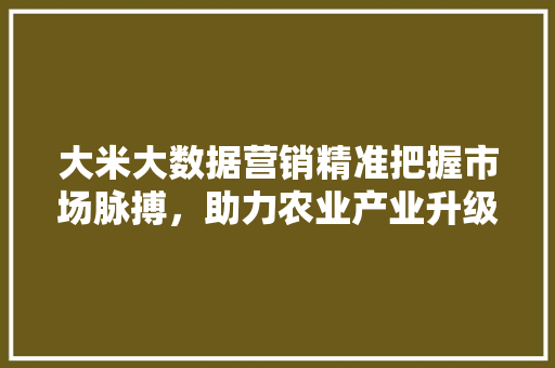 大米大数据营销精准把握市场脉搏，助力农业产业升级