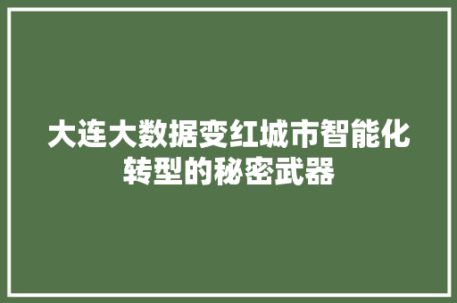 大连大数据变红城市智能化转型的秘密武器