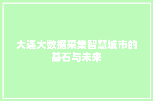 大连大数据采集智慧城市的基石与未来