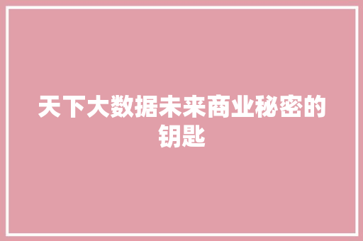 天下大数据未来商业秘密的钥匙