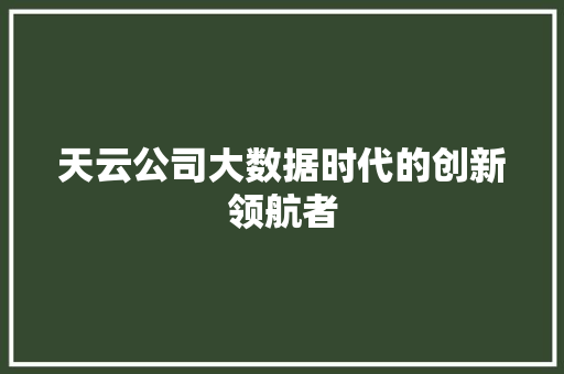 天云公司大数据时代的创新领航者