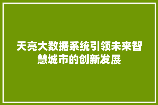 天亮大数据系统引领未来智慧城市的创新发展