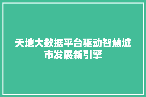 天地大数据平台驱动智慧城市发展新引擎