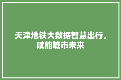 天津地铁大数据智慧出行，赋能城市未来