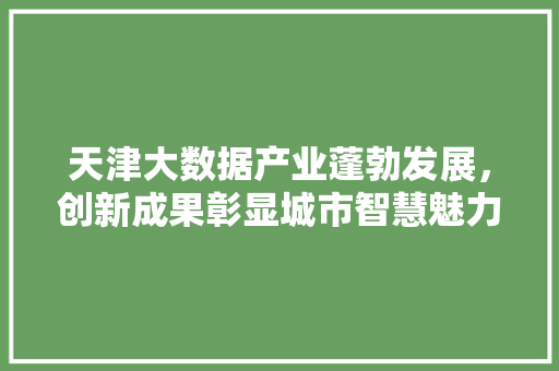 天津大数据产业蓬勃发展，创新成果彰显城市智慧魅力 电脑基础