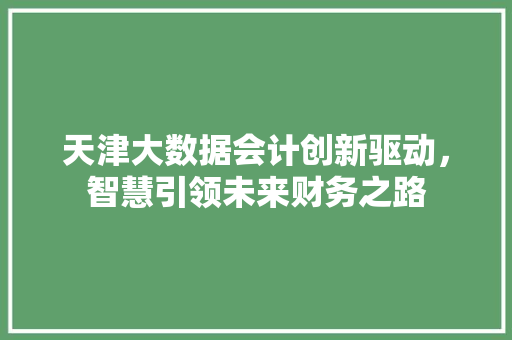 天津大数据会计创新驱动，智慧引领未来财务之路