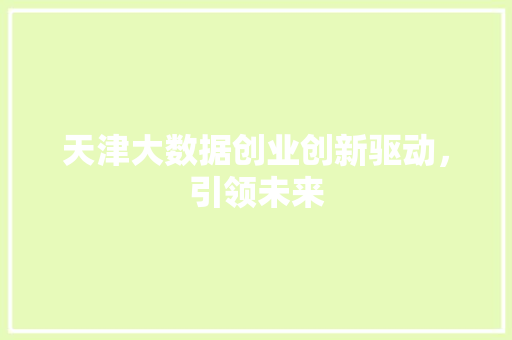 天津大数据创业创新驱动，引领未来