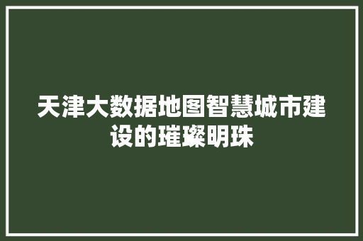 天津大数据地图智慧城市建设的璀璨明珠