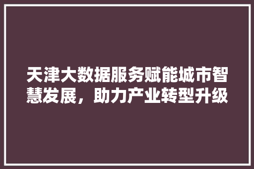 天津大数据服务赋能城市智慧发展，助力产业转型升级
