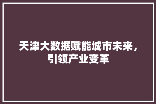 天津大数据赋能城市未来，引领产业变革
