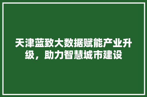 天津蓝致大数据赋能产业升级，助力智慧城市建设