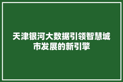 天津银河大数据引领智慧城市发展的新引擎 天津银河大数据引领智慧城市发展的新引擎