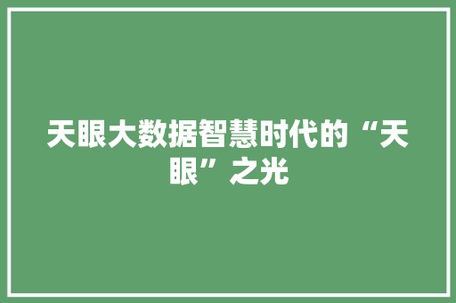 天眼大数据智慧时代的“天眼”之光