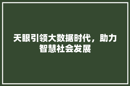 天眼引领大数据时代，助力智慧社会发展