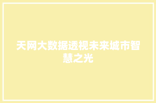 天网大数据透视未来城市智慧之光