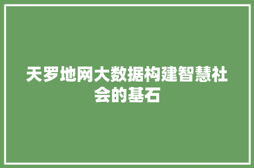 天罗地网大数据构建智慧社会的基石