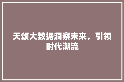 天颂大数据洞察未来，引领时代潮流