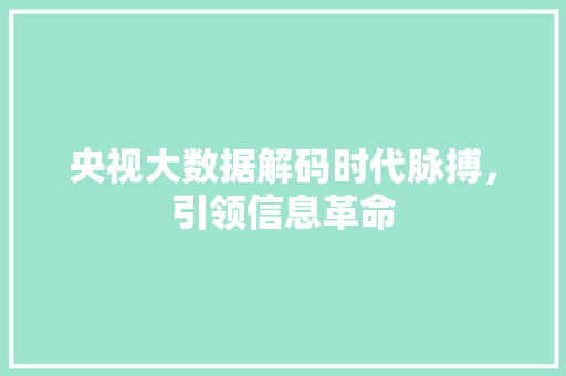 央视大数据解码时代脉搏，引领信息革命