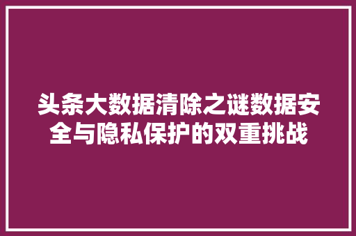 头条大数据清除之谜数据安全与隐私保护的双重挑战
