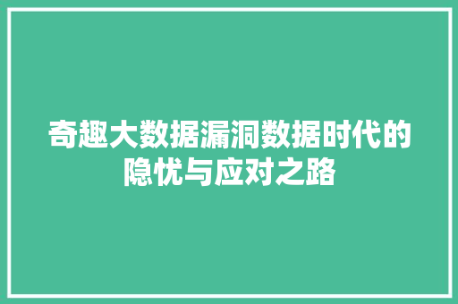 奇趣大数据漏洞数据时代的隐忧与应对之路