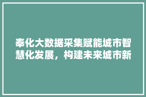 奉化大数据采集赋能城市智慧化发展，构建未来城市新蓝图