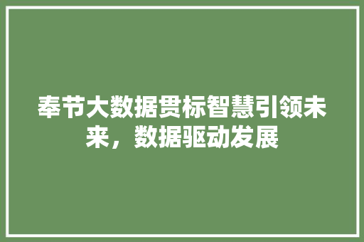 奉节大数据贯标智慧引领未来，数据驱动发展