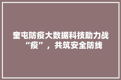 奎屯防疫大数据科技助力战“疫”，共筑安全防线