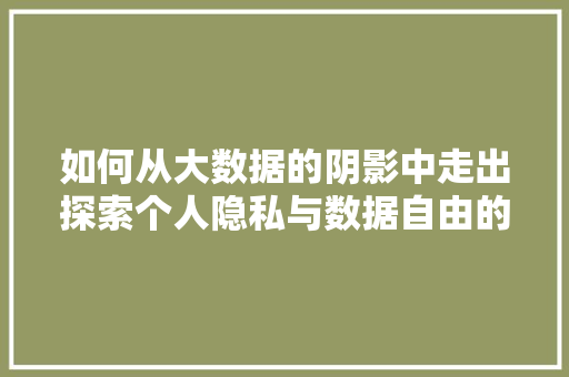 如何从大数据的阴影中走出探索个人隐私与数据自由的平衡之路
