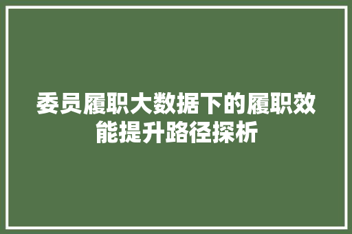 委员履职大数据下的履职效能提升路径探析