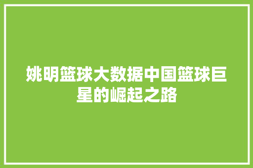 姚明篮球大数据中国篮球巨星的崛起之路