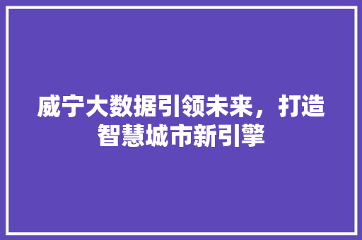 威宁大数据引领未来，打造智慧城市新引擎