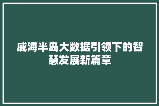 威海半岛大数据引领下的智慧发展新篇章
