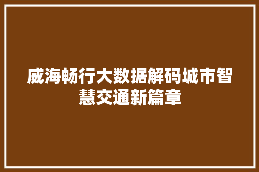 威海畅行大数据解码城市智慧交通新篇章
