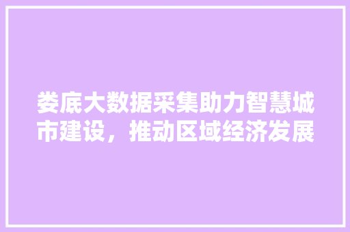 娄底大数据采集助力智慧城市建设，推动区域经济发展