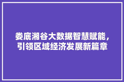 娄底湘谷大数据智慧赋能，引领区域经济发展新篇章