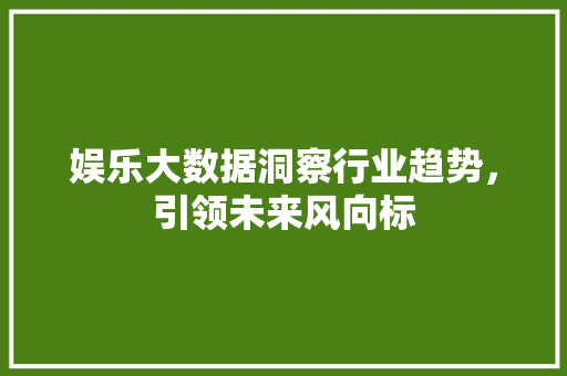 娱乐大数据洞察行业趋势，引领未来风向标