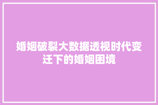 婚姻破裂大数据透视时代变迁下的婚姻困境