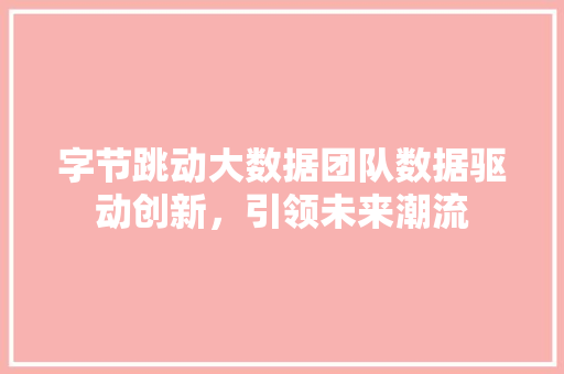 字节跳动大数据团队数据驱动创新，引领未来潮流