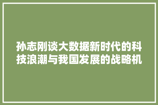 孙志刚谈大数据新时代的科技浪潮与我国发展的战略机遇