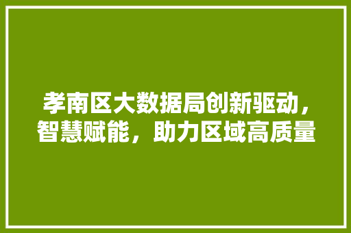孝南区大数据局创新驱动，智慧赋能，助力区域高质量发展