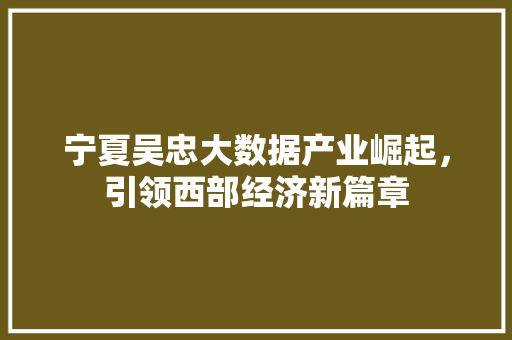 宁夏吴忠大数据产业崛起，引领西部经济新篇章