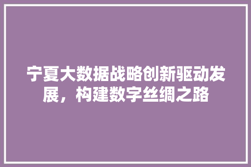 宁夏大数据战略创新驱动发展，构建数字丝绸之路