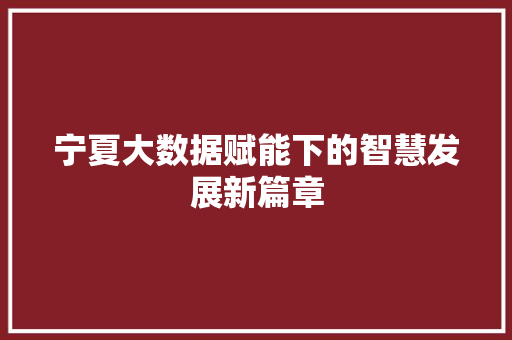 宁夏大数据赋能下的智慧发展新篇章