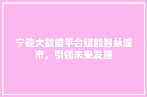 宁德大数据平台赋能智慧城市,引领未来发展 宁德大数据平台赋能智慧城市,引领未来发展