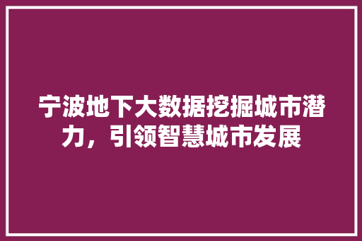 宁波地下大数据挖掘城市潜力,引领智慧城市发展 宁波地下大数据挖掘城市潜力,引领智慧城市发展